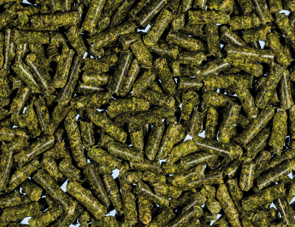 Luzernepellets
