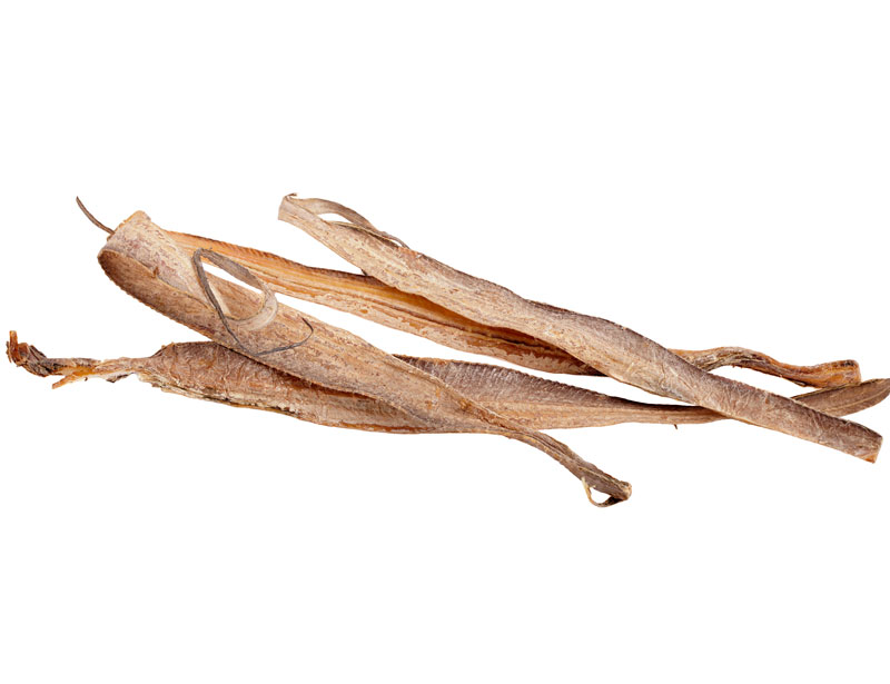 Degenfisch (Haarschwänze)