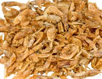 Dried Shellfish Wholesale