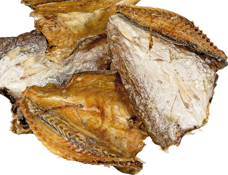 Croaker Fisch (Trommler)