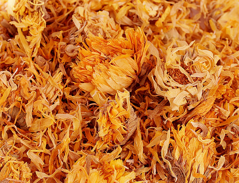 Marigold (Calendula) Flowers