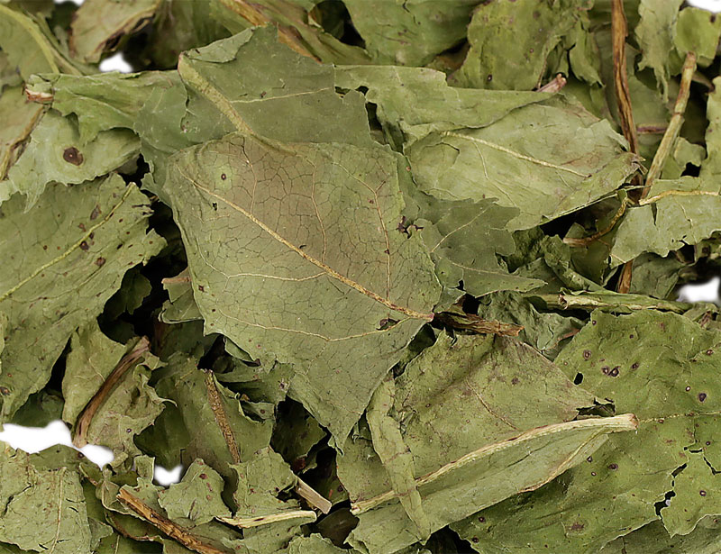 Strawberry Leaves