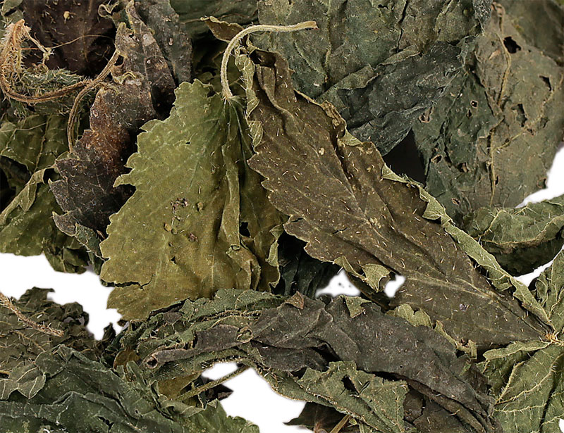 Nettle Leaves