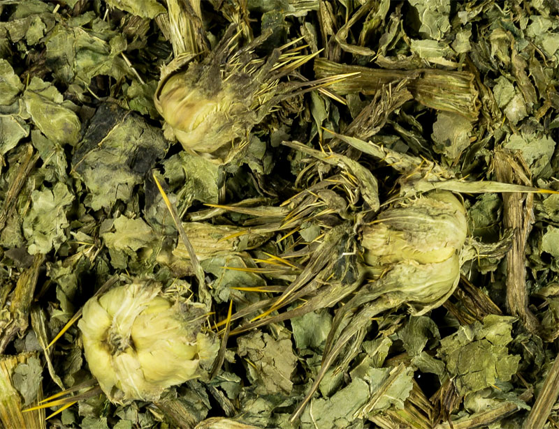 Mariendistel