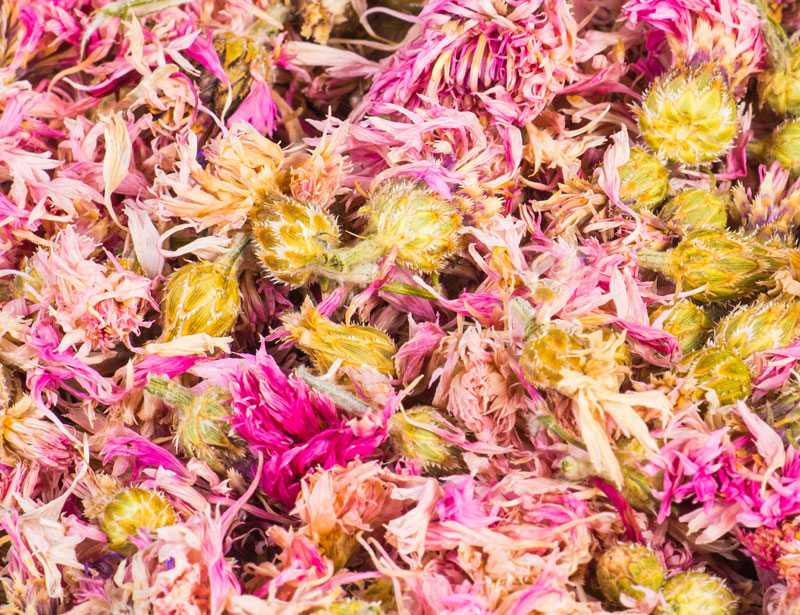 Cornflower Pink