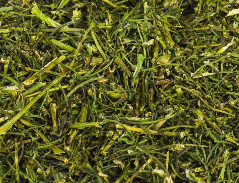 Chervil Stalks