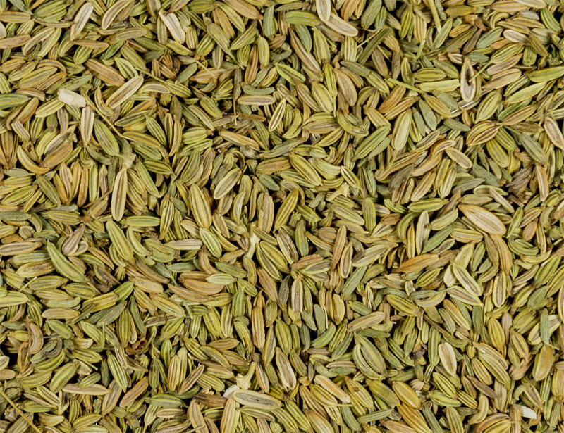 Fennel Seed