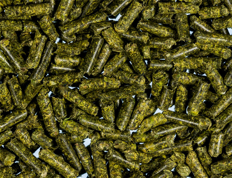 Alfalfa Pellets