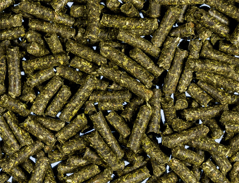 Reptilien Kräuter Pellets 4mm