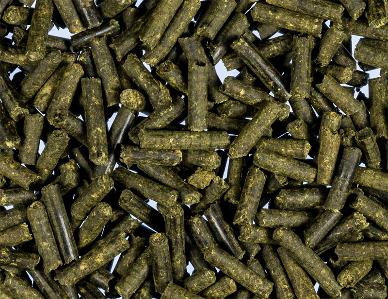 Dandelion Pellets