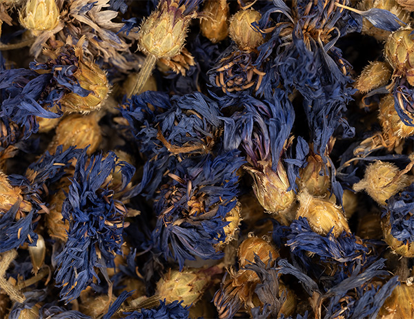 Cornflower Blue 1st grade