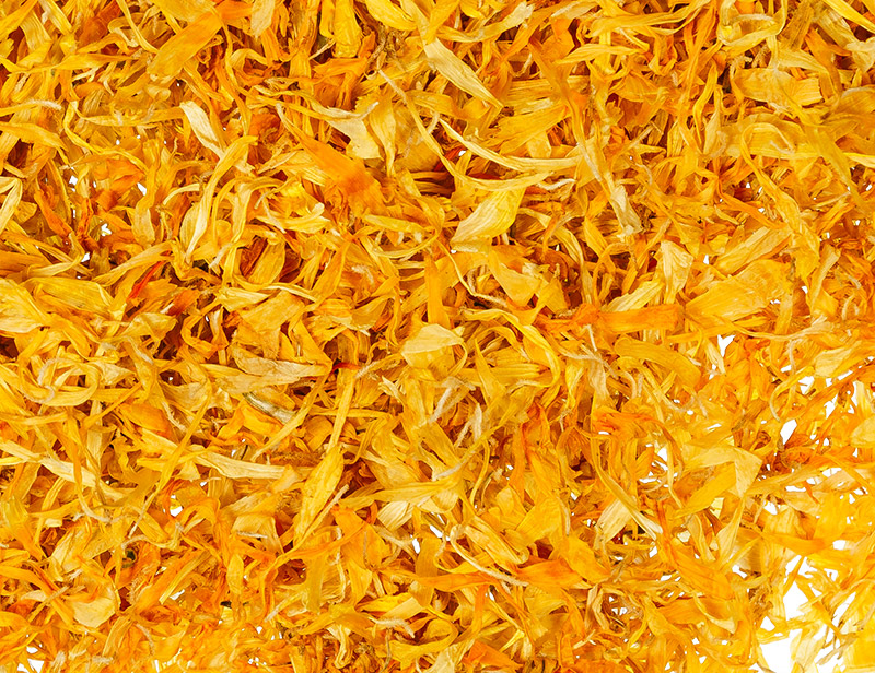 Calendula Petals