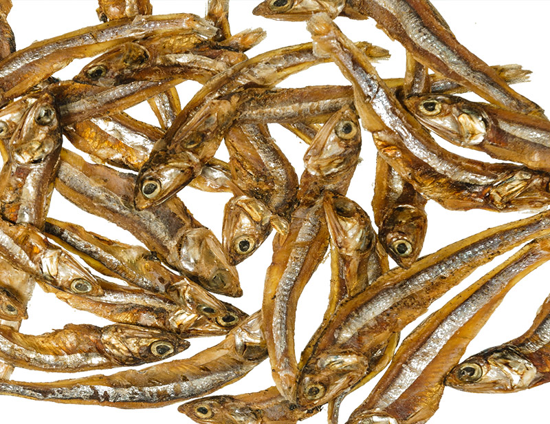 Anchovies