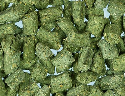 Hundesnack Spirulina