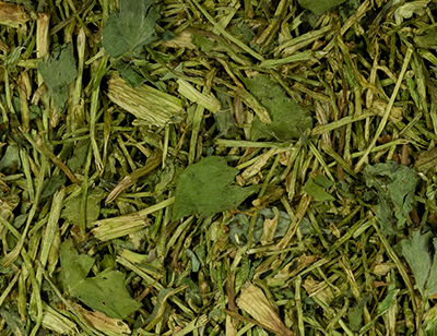 Red clover stems with leaves